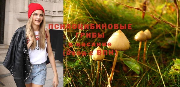 амф Алексин