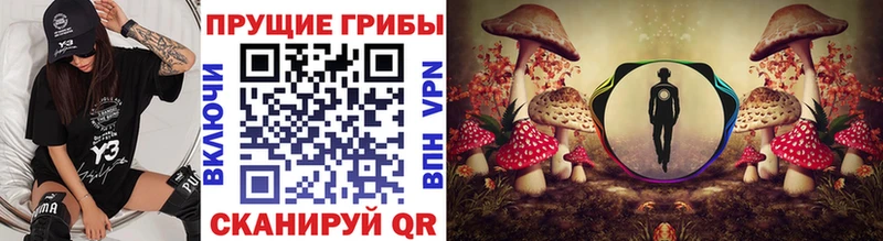 Галлюциногенные грибы прущие грибы  дарк нет как зайти  Североуральск  цена  